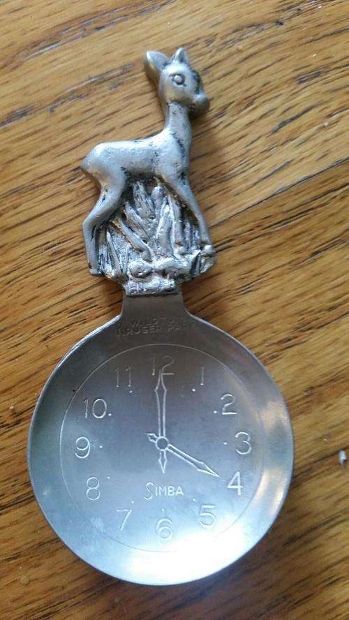 Wildtuin Kruger Park Simba